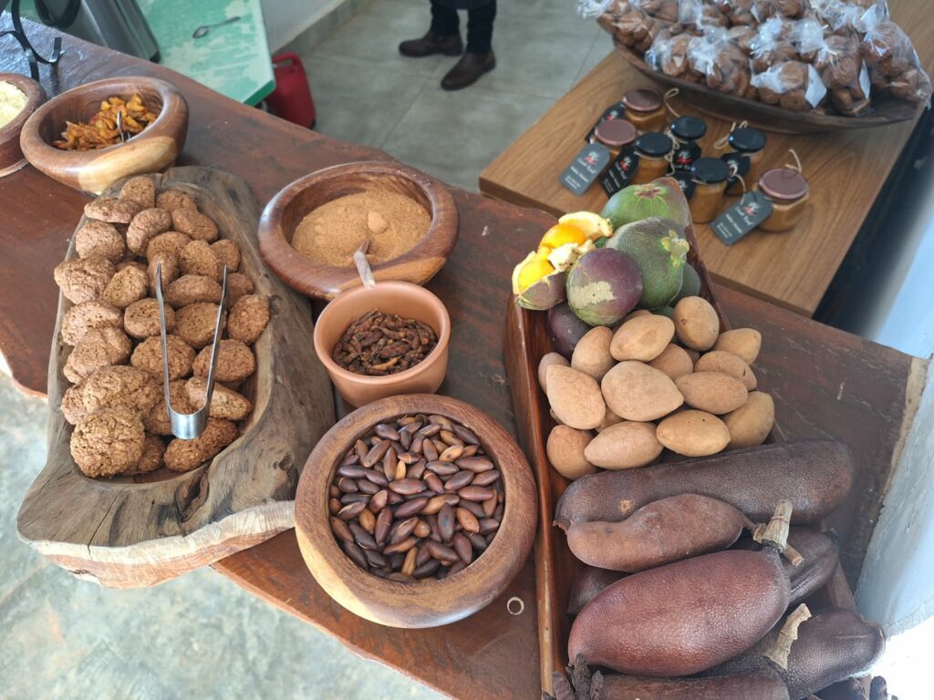 DF Estratégico: Frutos do Cerrado entram na alimentação escolar para nutrir e conservar