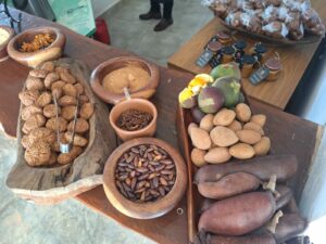 DF Estratégico: Frutos do Cerrado entram na alimentação escolar para nutrir e conservar