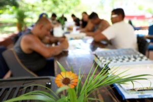 Aumento atendimento saúde mental DF