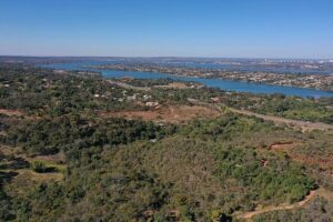 GDF investe R$ 248 mil e planta 22 mil mudas para recuperar Serrinha do Paranoá