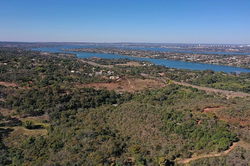 GDF investe R$ 248 mil e planta 22 mil mudas para recuperar Serrinha do Paranoá