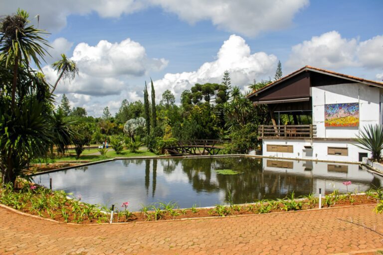 Jardim Botânico de Brasília Bate Recorde de Visitação em 2025 e Impulsiona Conservação