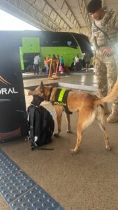 PMDF Emprega Cães Farejadores em Varredura Preventiva nas Rodoviárias de Brasília