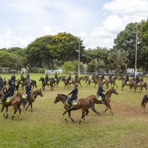 PMDF forma 30 novos especialistas em policiamento montado após curso intenso