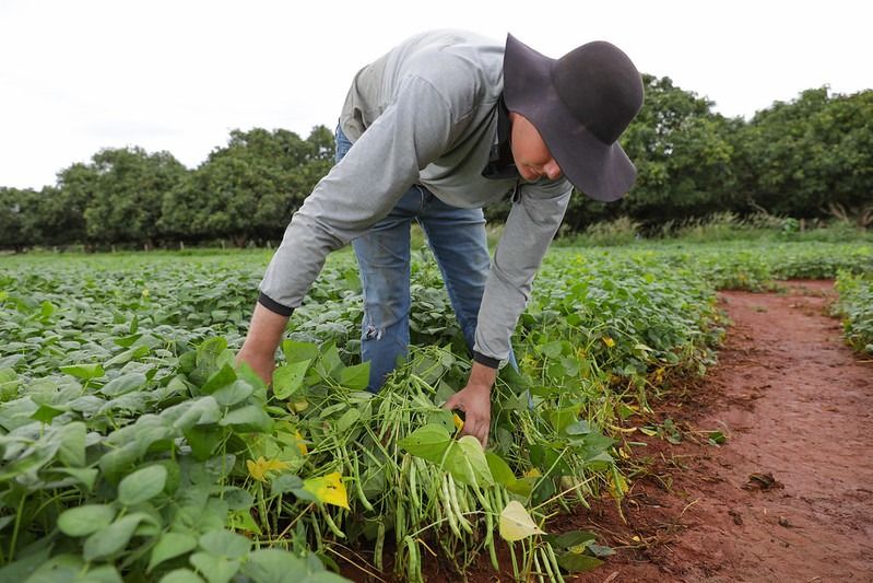 Seagri-DF: 2025 marca ciclo robusto de entregas e fortalece agricultura do DF