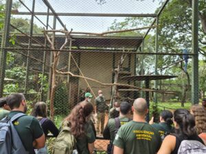 Brasília Ambiental realiza 2.817 ações fiscais em 2025 e reforça proteção ambiental no DF