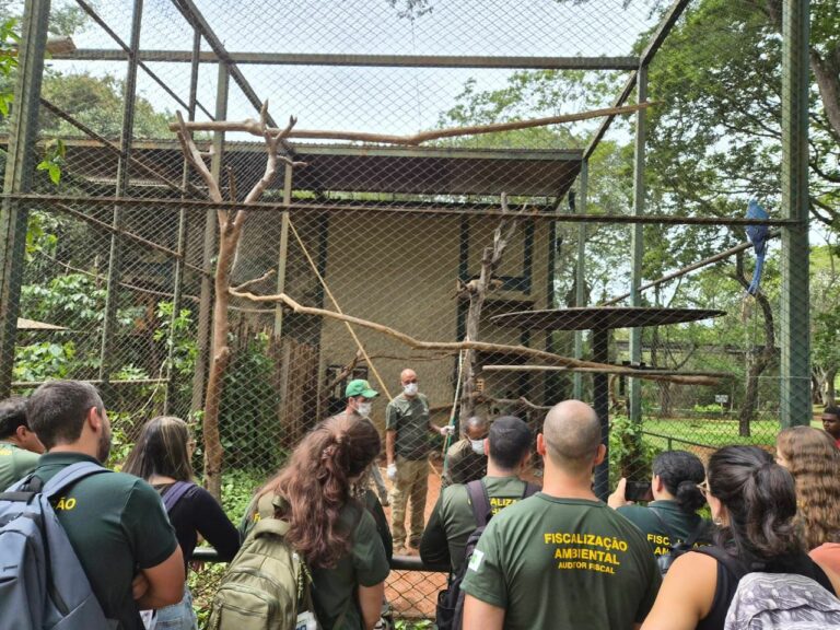 Brasília Ambiental realiza 2.817 ações fiscais em 2025 e reforça proteção ambiental no DF