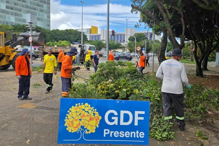 Chuva Extrema no DF: 40% da média de janeiro cai em 60 minutos; GDF age rápido