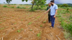 DF Bate Meta: Assistência Técnica Impulsiona Certificação de Produtores Orgânicos