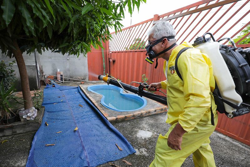 DF registra queda histórica de 96% nos casos prováveis de dengue em 2025