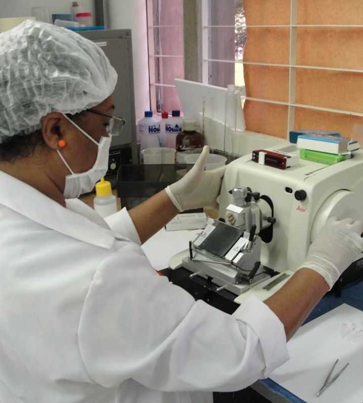 FAPDF lança edital de R$ 4 milhões para bolsas de Pós-Graduação no DF