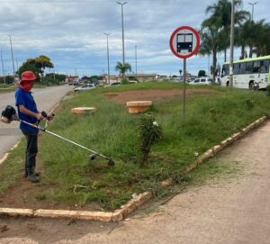 Força-Tarefa de Limpeza e Roçagem é Intensificada em Ceilândia Contra Pragas