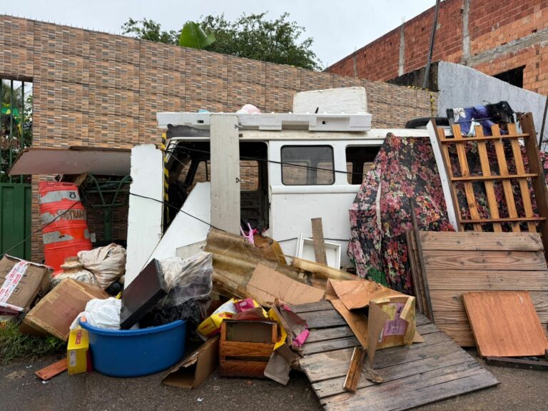 Força-Tarefa em Ceilândia retira entulho e carcaças acumuladas em via pública
