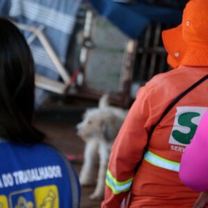 GDF Inicia Mega Ação de Acolhimento à População de Rua no Plano Piloto