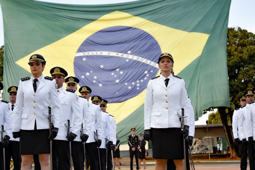 PMDF: 7 Toneladas de Drogas e 1.400 Armas Apreendidas em 2025 no DF