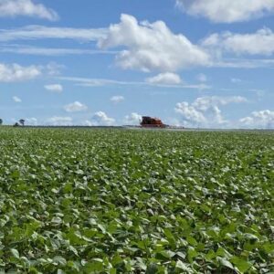 Seagri-DF lança Defesa Itinerante para facilitar Declaração Anual da Soja no DF