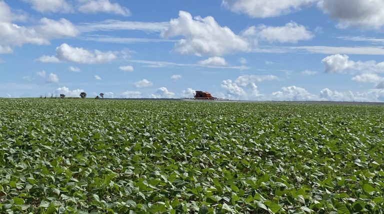 Seagri-DF lança Defesa Itinerante para facilitar Declaração Anual da Soja no DF