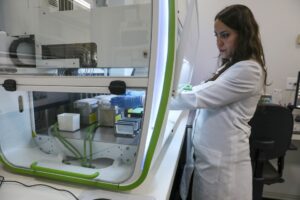 DF amplia Teste do Pezinho para 62 doenças e eegistra aumento recorde de exames