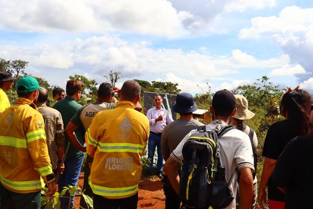 DF inaugura Trilha de Abelhas Nativas no Parque Tororó para proteger o cerrado