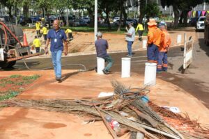 DF recolhe 4,2 milhões de toneladas de lixo irregular em sete anos