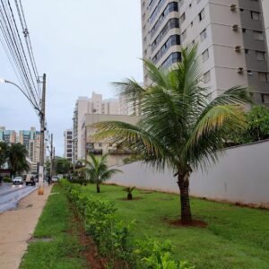 Programa Adote uma Praça: Condomínios revitalizam dois espaços em Águas Claras