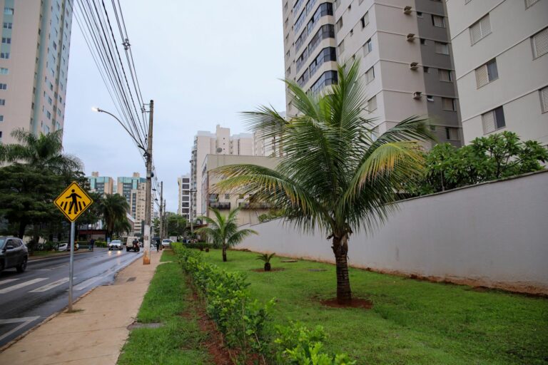 Programa Adote uma Praça: Condomínios revitalizam dois espaços em Águas Claras
