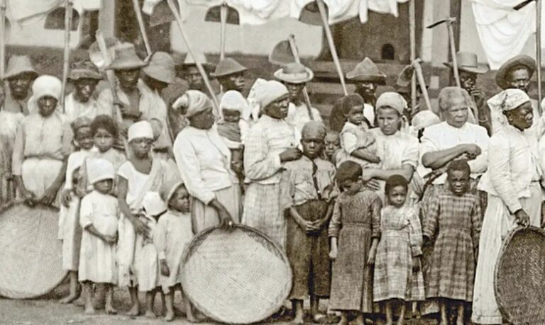 Livro resgata histórias de resistência contra a escravidão infantil no ES