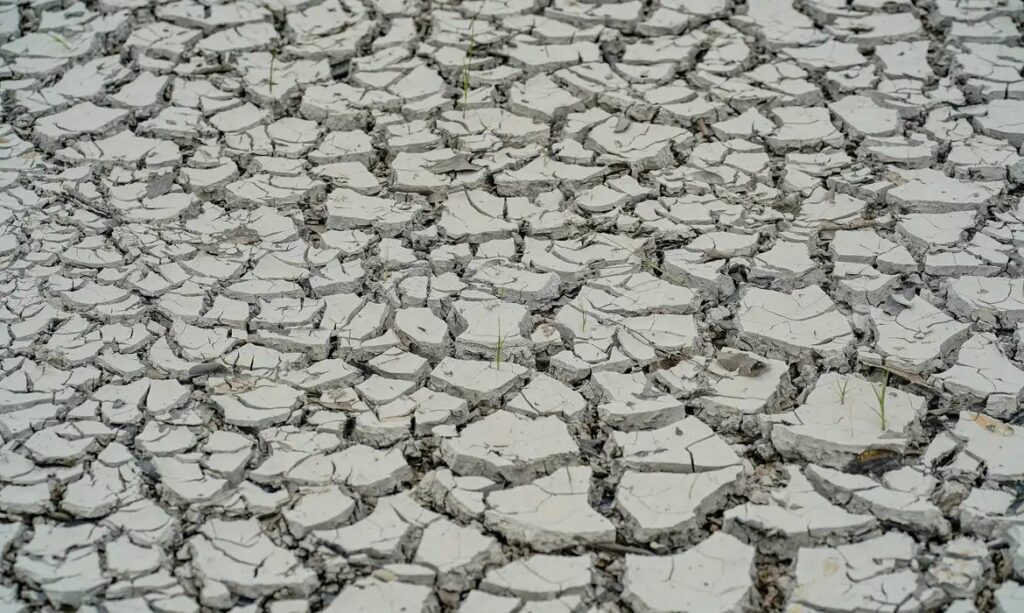 Nordeste: 15 cidades entram em situação de emergência por seca e estiagem