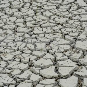 Nordeste: 15 cidades entram em situação de emergência por seca e estiagem