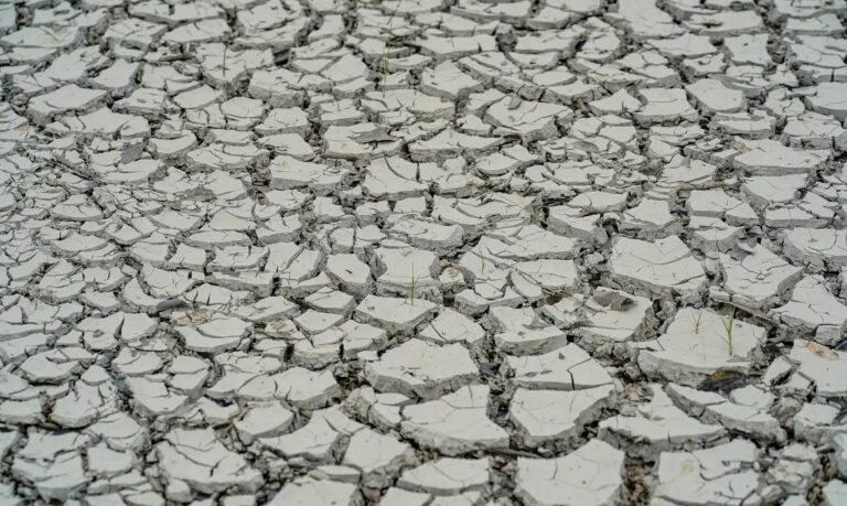 Nordeste: 15 cidades entram em situação de emergência por seca e estiagem