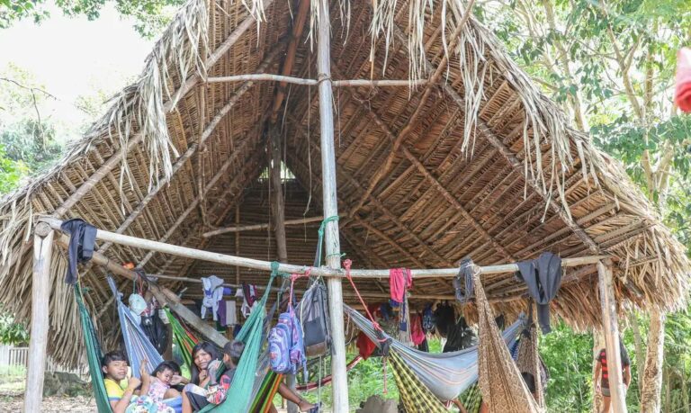 Povo Parakanã retoma território na TI Apyterewa após retirada de invasores