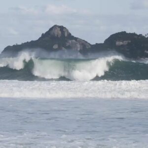 Rio sedia simpósio internacional para proteção da biodiversidade em alto-mar