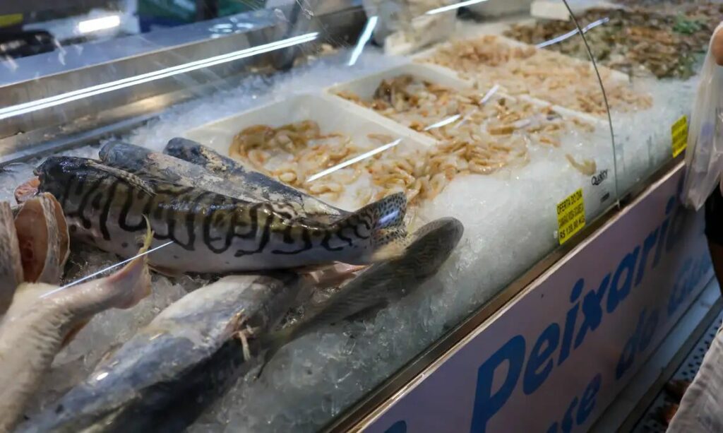 Semana Santa: Veja como escolher peixe fresco e evitar intoxicação alimentar