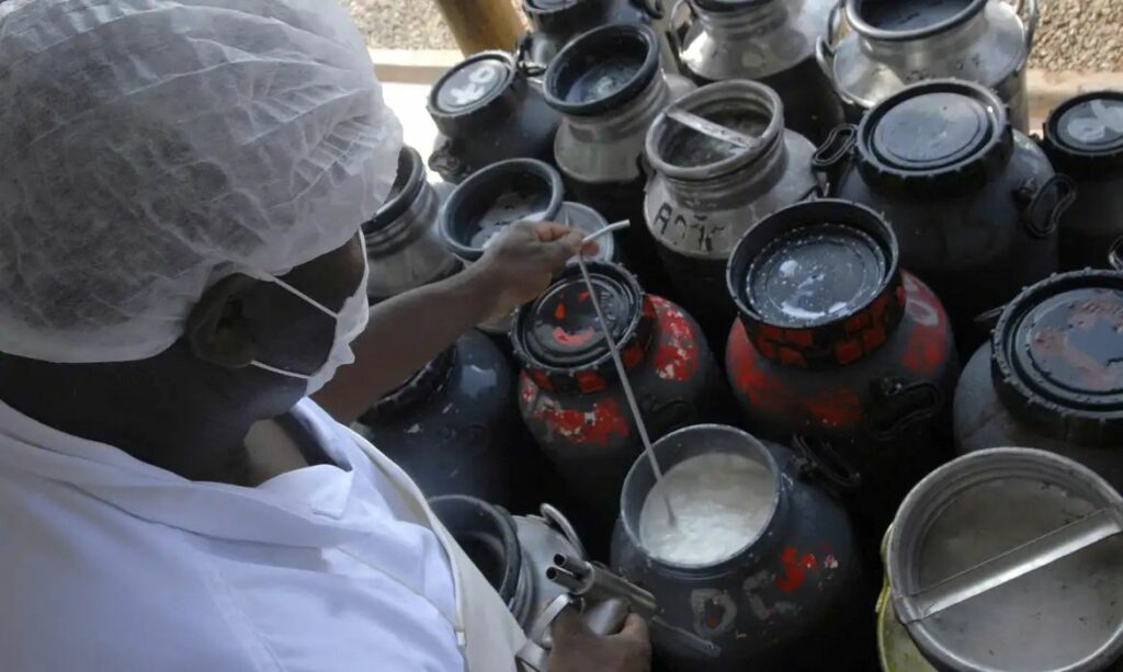 CMN libera R$ 40 milhões em capital de giro para cooperativas de leite