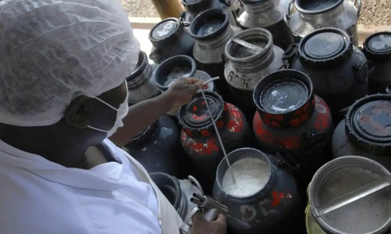 CMN libera R$ 40 milhões em capital de giro para cooperativas de leite