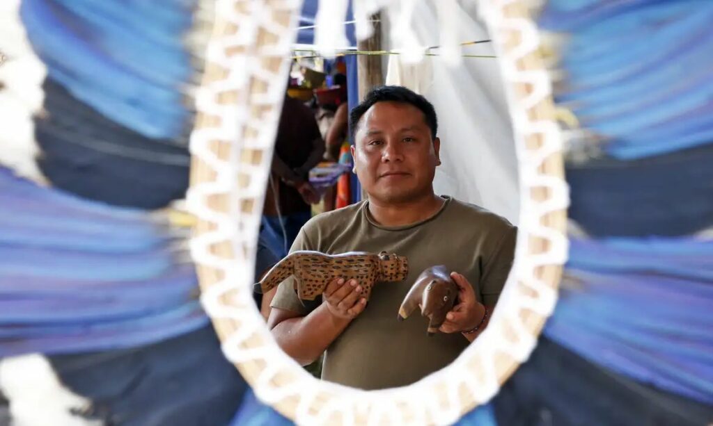 Desmatamento ameaça produção de cocares e tradições indígenas