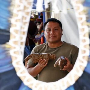 Desmatamento ameaça produção de cocares e tradições indígenas