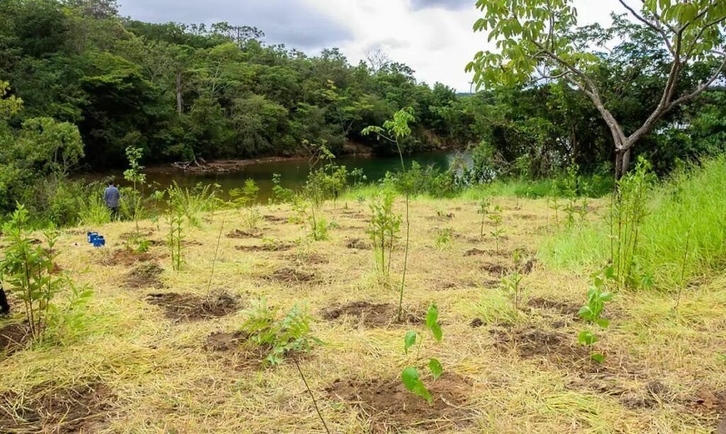 Novo Parque da Serrinha não protege área dada como garantia pelo BRB