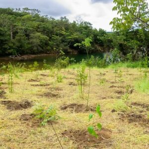 Novo Parque da Serrinha não protege área dada como garantia pelo BRB