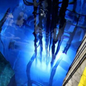 Pesquisas do reator nuclear da USP são transferidas para Belo Horizonte