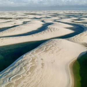 UNESCO: Sítios protegidos são essenciais para biodiversidade global