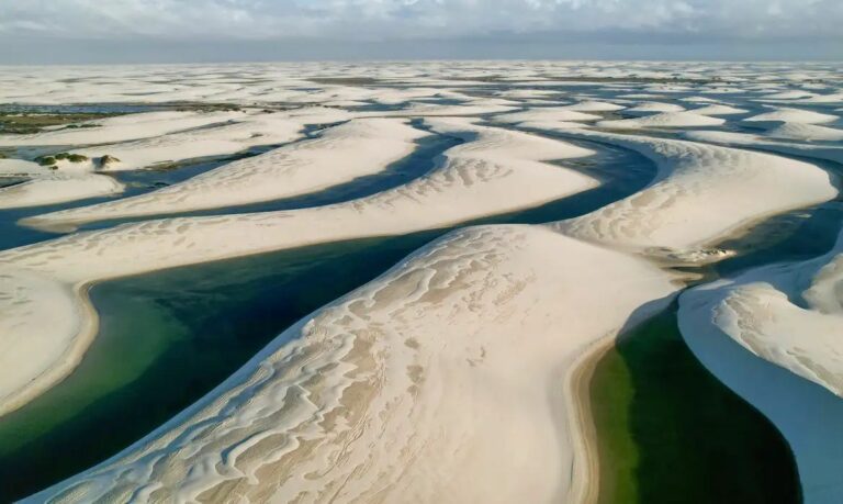 UNESCO: Sítios protegidos são essenciais para biodiversidade global