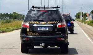 PF apreende mais de uma tonelada de maconha escondida em carga de mandioca