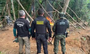 PF e Ibama desarticulam garimpos ilegais na divisa do Amapá e Pará