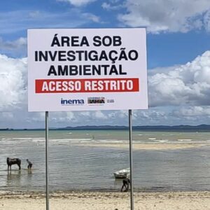 Praia de Salvador sofre há 100 dias com grave contaminação química