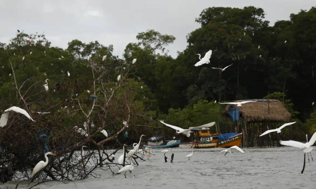 Programa Amazônia Soberana vai reforçar segurança e combater crimes na fronteira