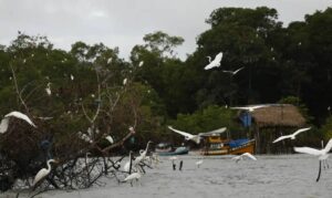 Programa Amazônia Soberana vai reforçar segurança e combater crimes na fronteira