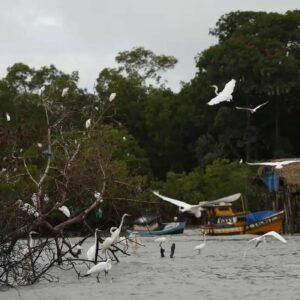 Programa Amazônia Soberana vai reforçar segurança e combater crimes na fronteira