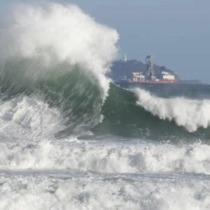Soluções baseadas na natureza são apostas contra extremos climáticos