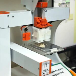 Carne de laboratório: Embrapa desenvolve tecnologia sustentável